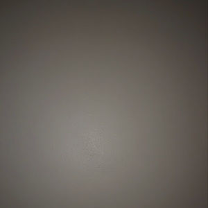 Meet your Posher, Leon